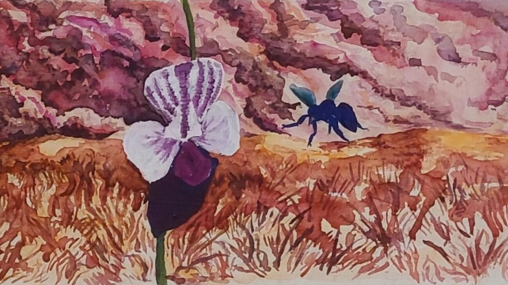 Original art by Anita Knisely-Durham